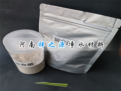 ��(f��)�Ͼ��N