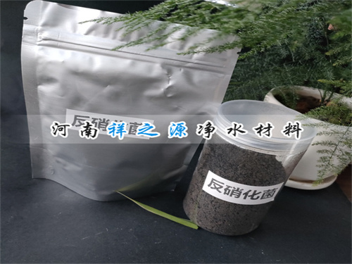 ���������N